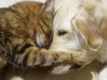 Ari and Roxy