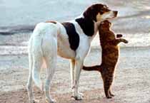Belle and Casper